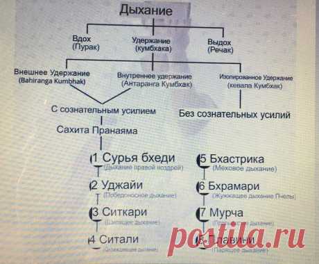 Уджайи пранаяма (дыхание океана) техника выполнения польза Занятия для начинающих