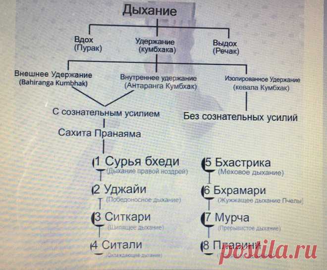 Уджайи пранаяма (дыхание океана) техника выполнения польза Занятия для начинающих