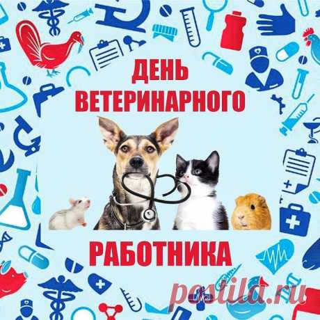 К ветеринару с уважением
Мы обращаемся сейчас.
Вы занимаетесь спасением
Четвероногих добрых глаз.