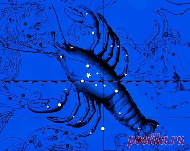 РАК ♋ Апрель 2024. Любовь. Финансы | ASTROLOGY HORAS | Дзен