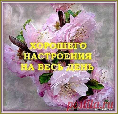 Хорошего настраения на весь день...