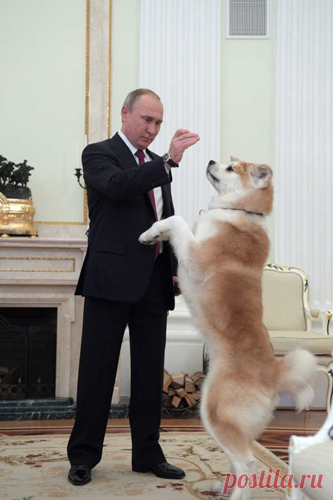 Царь зверей
