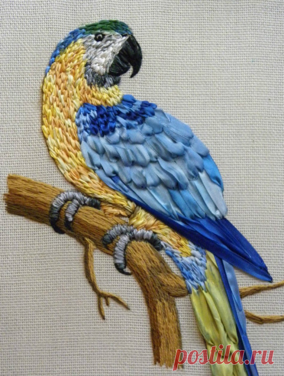 попугай вышивка лентами: 22 тыс изображений найдено в Яндекс.Картинках