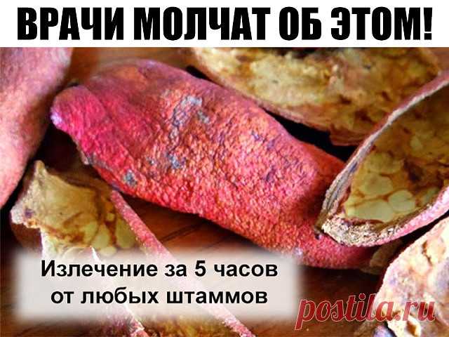 (4) Одноклассники
