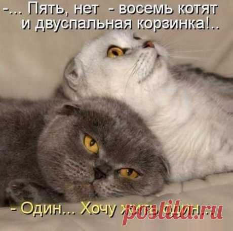 Женские мысли