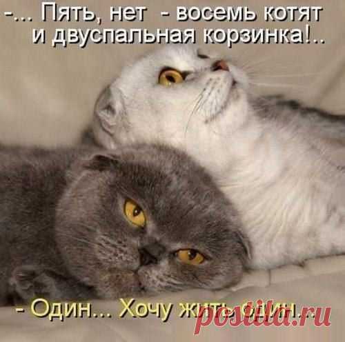Женские мысли