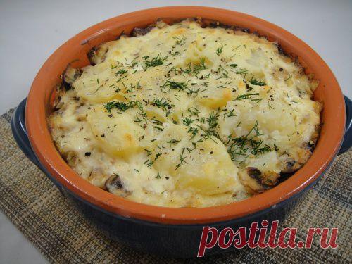 Картофельная запеканка с грибами / Запеканки / TVCook: пошаговые рецепты c фото