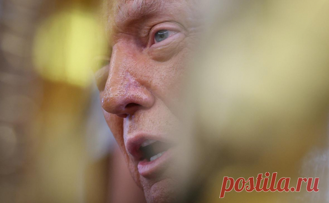 Трамп накричал на Нетаньяху из-за голодных детей в Газе. Дональд Трамп накричал в телефонном разговоре на Биньямину Нетаньяху, резко отвергнув его заявления о фейковых данных о голоде в секторе Газа. Президент США заявил, что располагает доказательствами голодающих детей