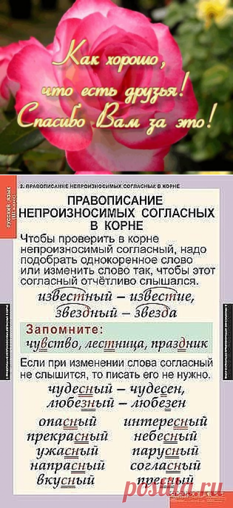 (11) Одноклассники