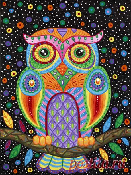 Octavia Owl by Liquid-Mushroom on DeviantArt