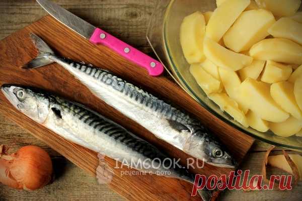 Скумбрия в духовке с картошкой, рецепт с фото. Как приготовить скумбрию, запеченную в духовке с картошкой?