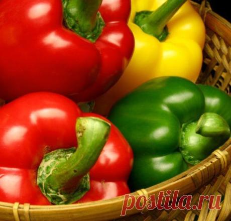 Рецепты необычных солений и маринадов - БУДЕТ ВКУСНО! - медиаплатформа МирТесен