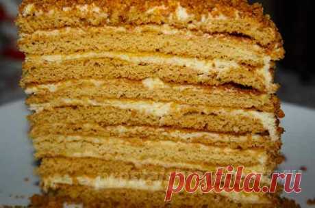 Вкусный торт Медовик со сметанным кремом и шоколадом
