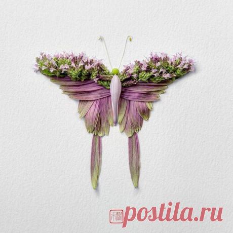 Цветочные насекомые от художника Раку Иноуэ
Дизайнер моды Раку Иноуэ (Raku Inoue) из Монреаля (Канада) продолжает свою серию «Природные насекомые» (Natura Insects), фокусируясь на красочных мотыльках и бабочках. Изящные насекомые созданы из природных материалов — листьев, цветов, лепестков, — цвета которых варьируются в зависимости от того, в какое время года художник сделал ту или иную композицию.