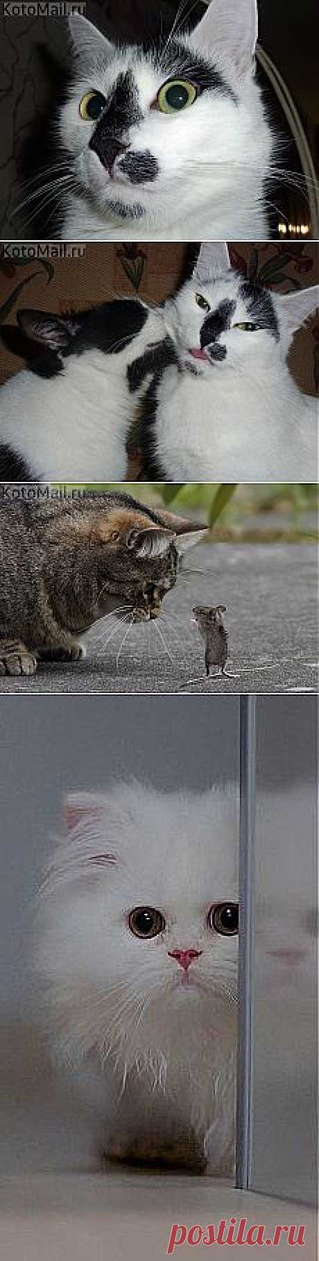 или Я - или кто-то уйдет!!!! и другие материалы. Новое в Вашей подборке на Постила.ru - klievtsova@inbox.ru - Почта Mail.Ru