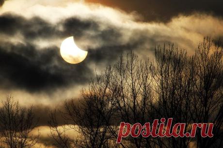 Солнечное затмение в Новокузнецке (фото)