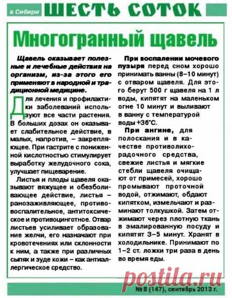 Щавель - лечебные свойства