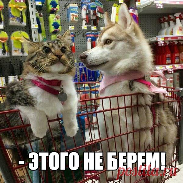 Наши парадоксы) Улвыбнемся?)

Веселые картинки с надписями со смыслом преобразят ваше настроение и изменят на позитивное










               
