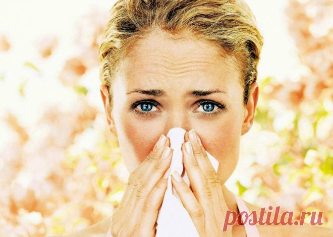 Происхождение аллергии: гипотеза «старых друзей»
О происхождении аллергии ученые спорят несколько десятков лет. Самая «живучая» теория, которая доминирует уже многие годы – гигиеническая. Ее основу составляет мысль о том, что создание практически стерильной чистоты в жилых домах, особенно где есть дети, за счет современных мощных средств уборки и антисептиков, создает проблемы иммунной системе. Она не может адекватно знакомиться с различными […]
Читай дальше на сайте. Жми подробнее ➡