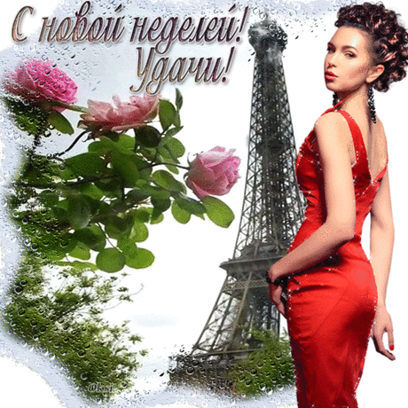 i-19349.gif (600×600)