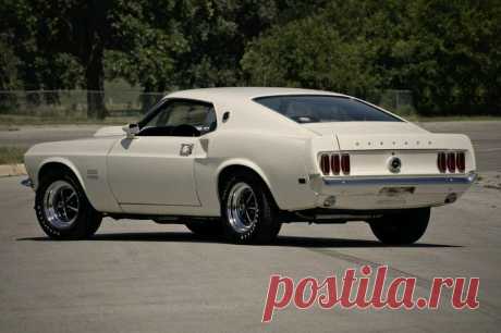 mustang