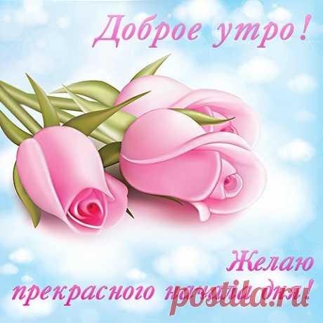 Каждое утро как будто бы новая жизнь: 
двадцать четыре часа – это новый подарок! 
Будет ли день интересен, насыщен и ярок? 
Или закружат-завертят опять виражи? 
Жить для кого-то – не в этом ли кроется смысл
Показать полностью…