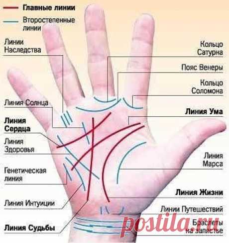 Профессия на ладони