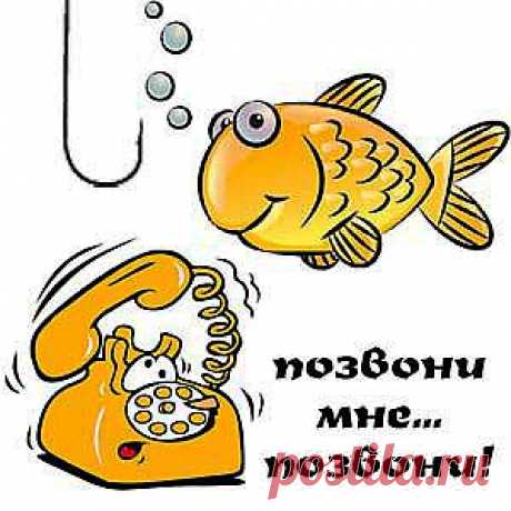 Предупрежден - значит вооружен! Фишинговые файлообменники | &quot;ZРИ В КОРЕНЬ&quot;