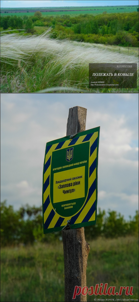 Фотопрогулки. Поваляться в ковыле