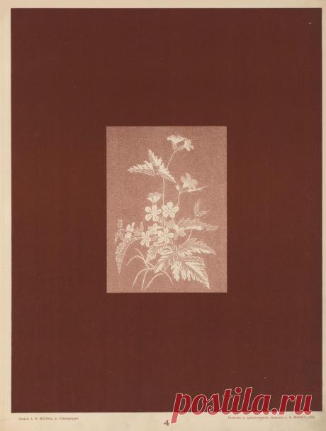 Книга - "Вышивка ( 1905 г)".