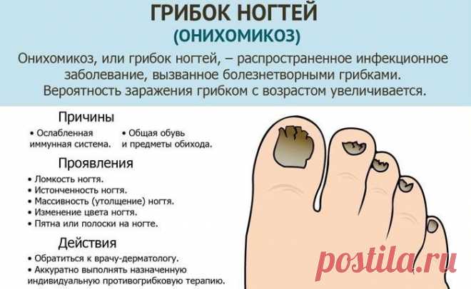 (8) Одноклассники