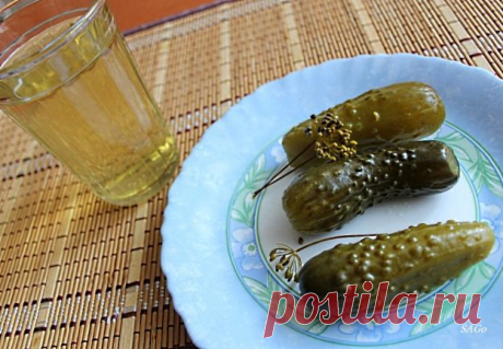 СОЛЯНКА СБОРНАЯ, ТОМЛЕННАЯ В ГОРШОЧКЕ
