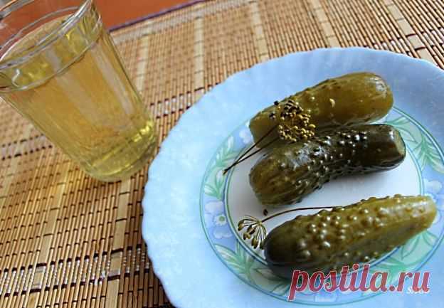 СОЛЯНКА СБОРНАЯ, ТОМЛЕННАЯ В ГОРШОЧКЕ