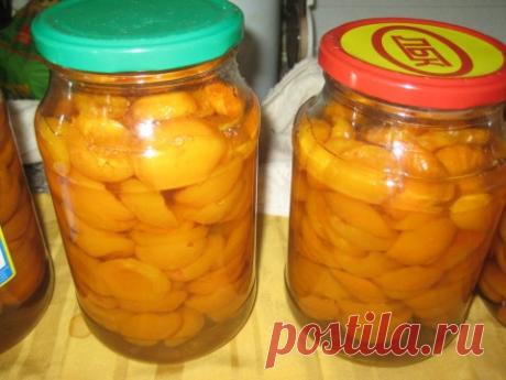 Заготовки абрикосов (половинками) » Женский Мир