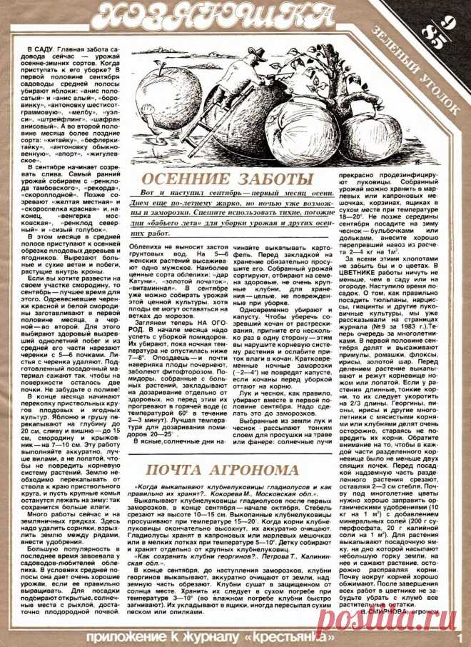 Осенние заботы в саду и на огороде