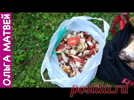 Сыроежки В Кляре - Вкусно и Просто!!!! | Fried Mushrooms Recipe