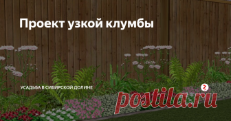 Проект узкой клумбы Ширина цветника составляет 70 сантиметров. Разместить его лучше всего у глухого забора или западной стены дома, то есть в той части сада, куда солнце заглядывает ненадолго.
