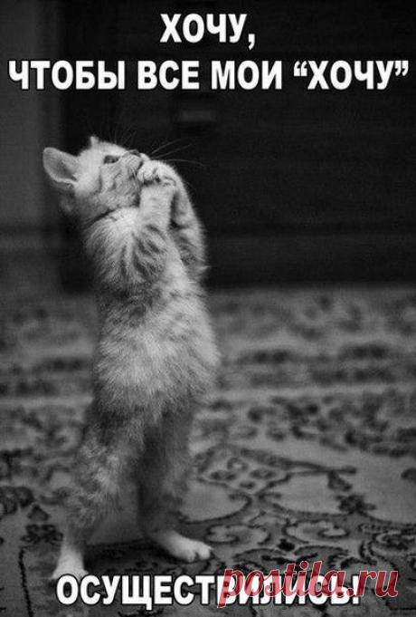 Мой Мир@Mail.Ru