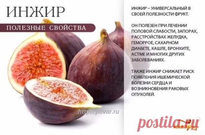 Инжир полезные свойства