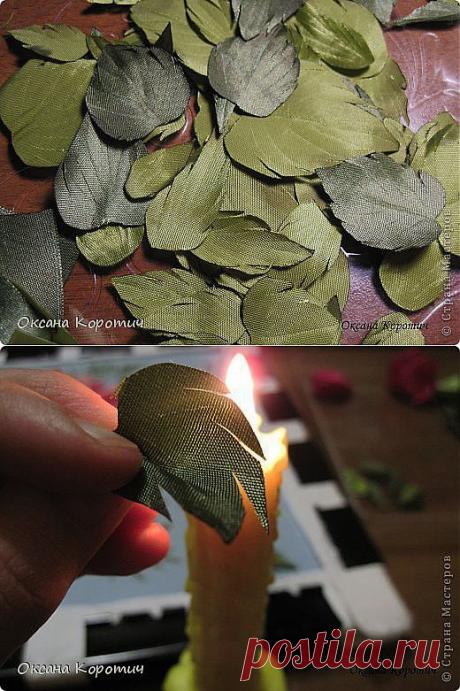МК &quot;Листья для розы&quot;.