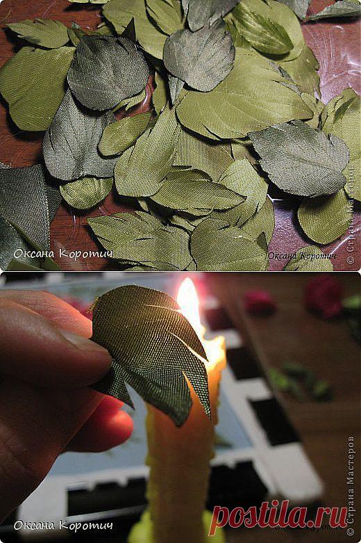 МК "Листья для розы".