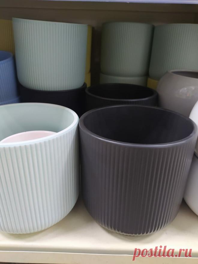 Впервые за 4 месяца зашла в Фикспрайс: показываю, что особенно впечатлило и что рекомендую к покупке
Сложно поверить, что за лето я ни разу не была в этом магазине, слава отпуску и нашему отъезду в Грузию, иначе я бы скупила все летние коллекции, нужны они мне или нет. В последнее время Фикспрайс очень радует ассортиментом, достойные товары, отличного качества, по доступным ценам. К моему сожалению пока я не могу покупать декор, […]
Читай дальше на сайте. Жми подробнее ➡