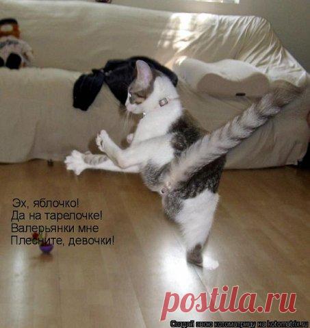 МУП Североморские Теплосети