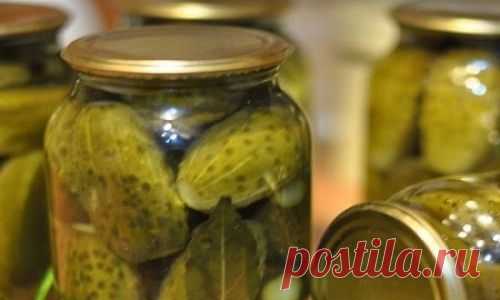 МАРИНОВАННЫЕ ОГУРЦЫ «ПО-ДЕТСКИ» ХРУСТЯЩИЕ