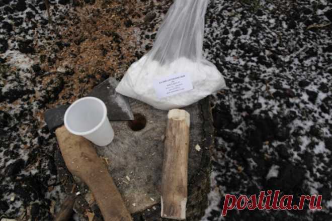 Соль - уберет пень без корчевания за 1 год или костер 