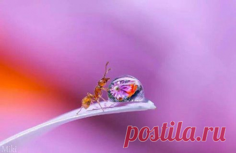 Вальтер Медведев ЖУРНАЛ О ЖИЗНИ™ добавил фотографию в альбом зоо
