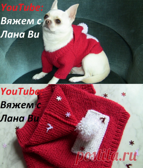 Свитерок для собачки 👍