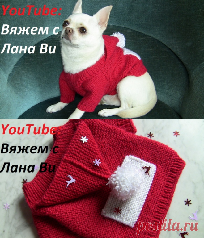 Свитерок для собачки 👍