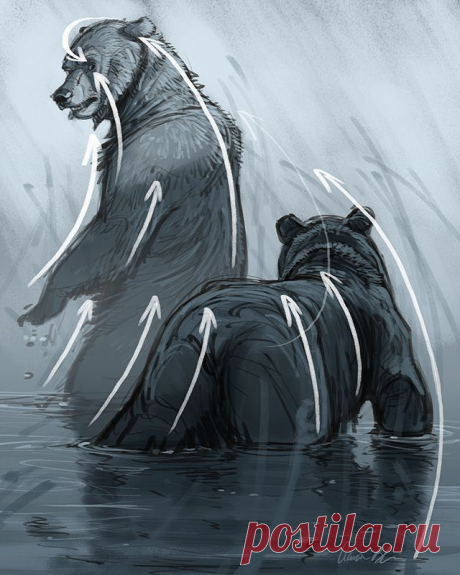 Рисуем стрелки.