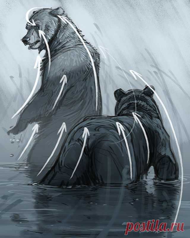 Рисуем стрелки.